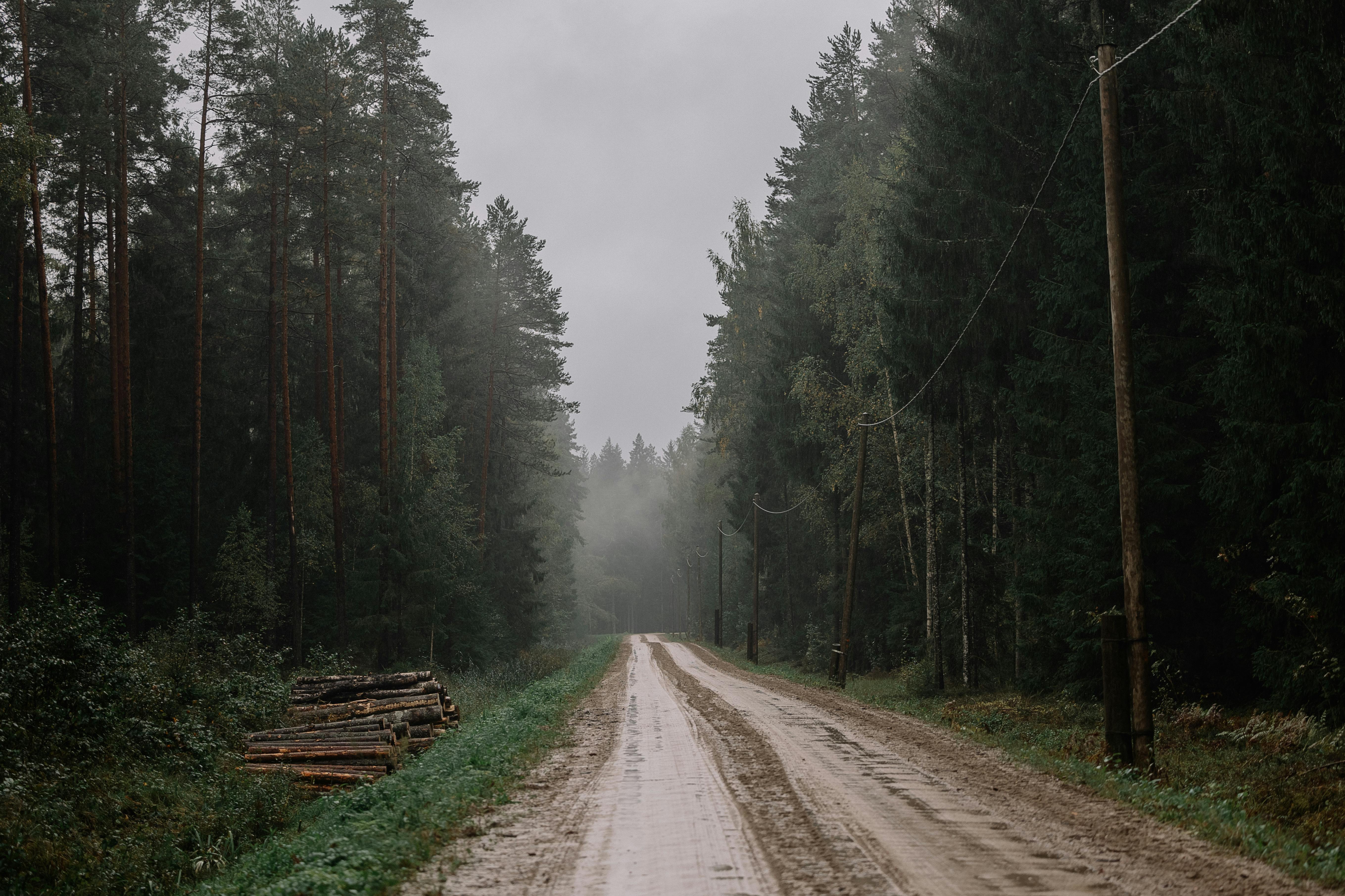Survival voor Beginners: 10 Veelgemaakte fouten en hoe je ze voorkomt