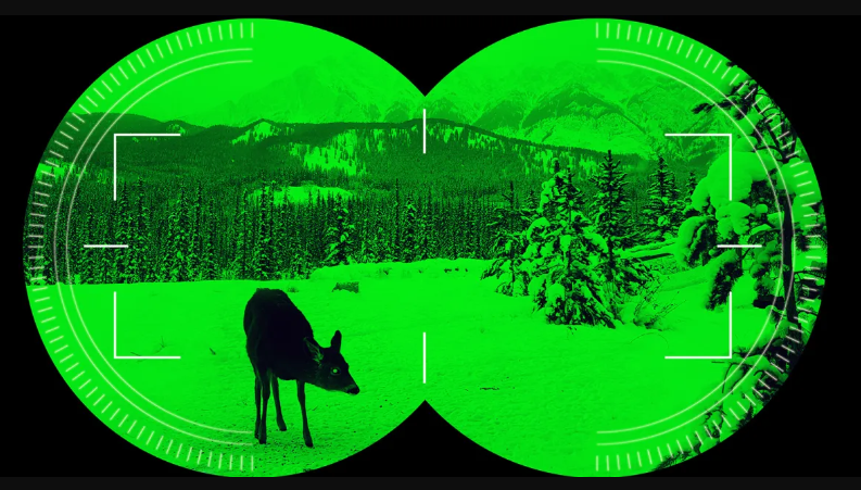 Nightvision